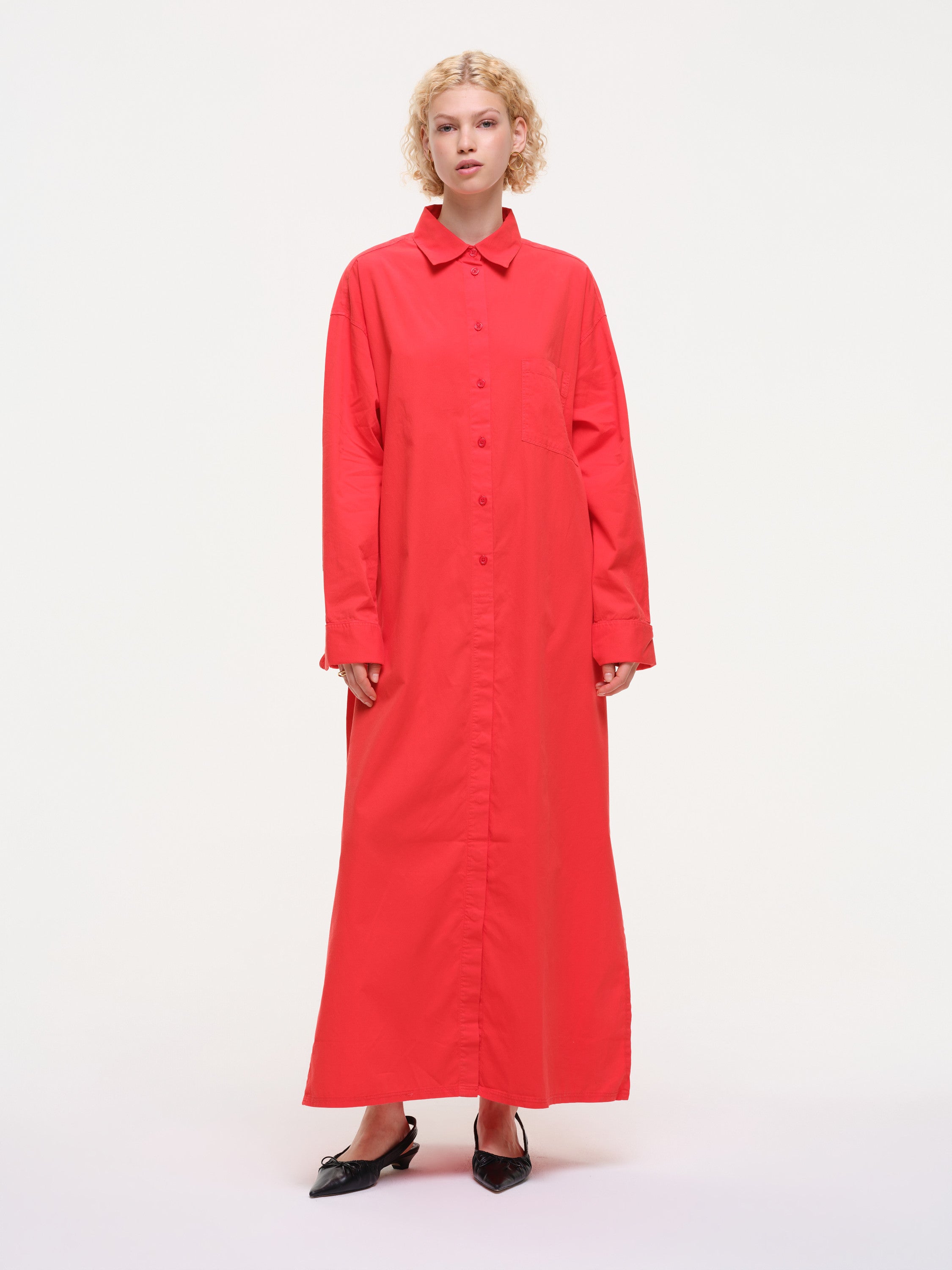 dove  - red