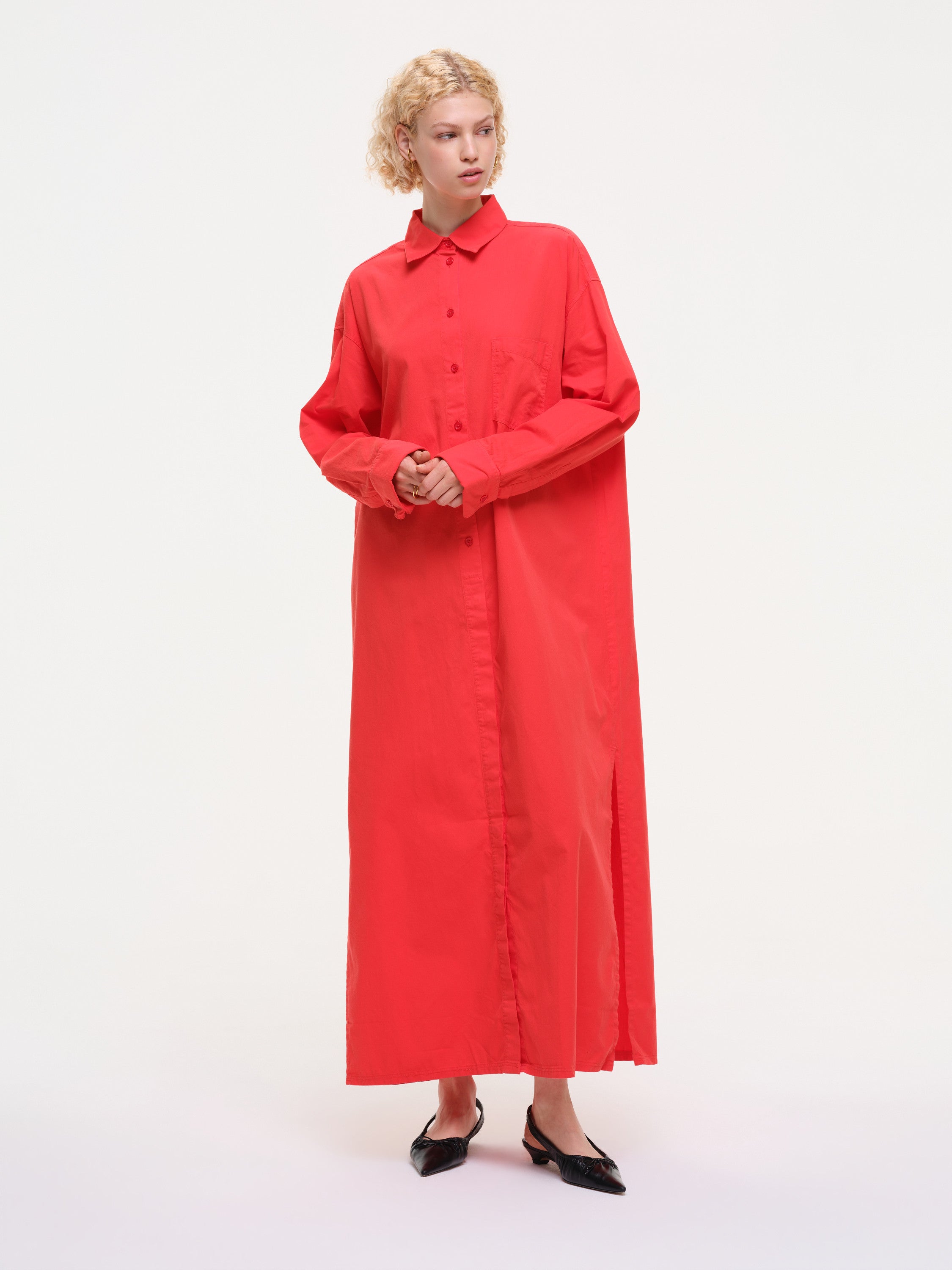 dove  - red