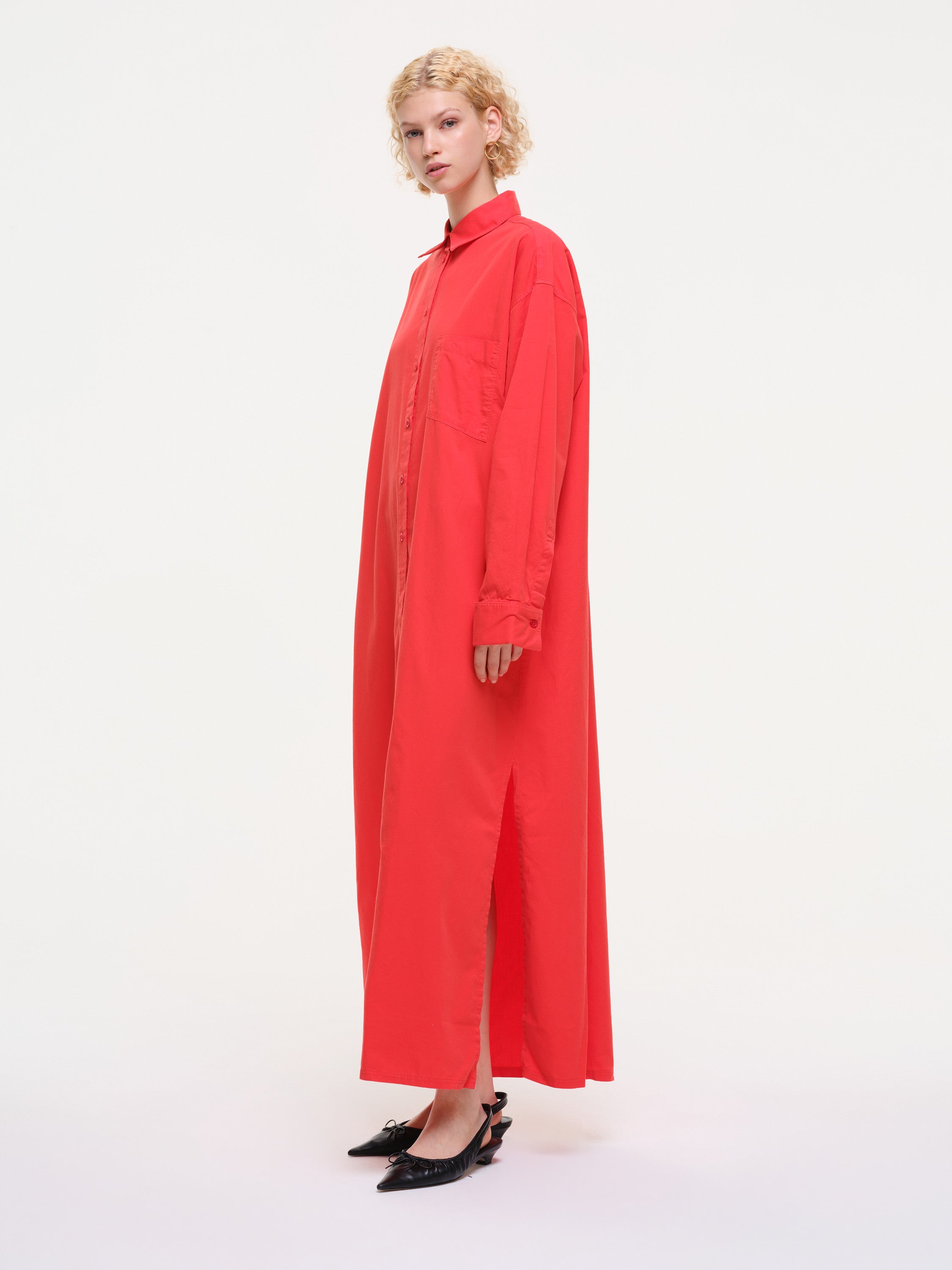 dove  - red