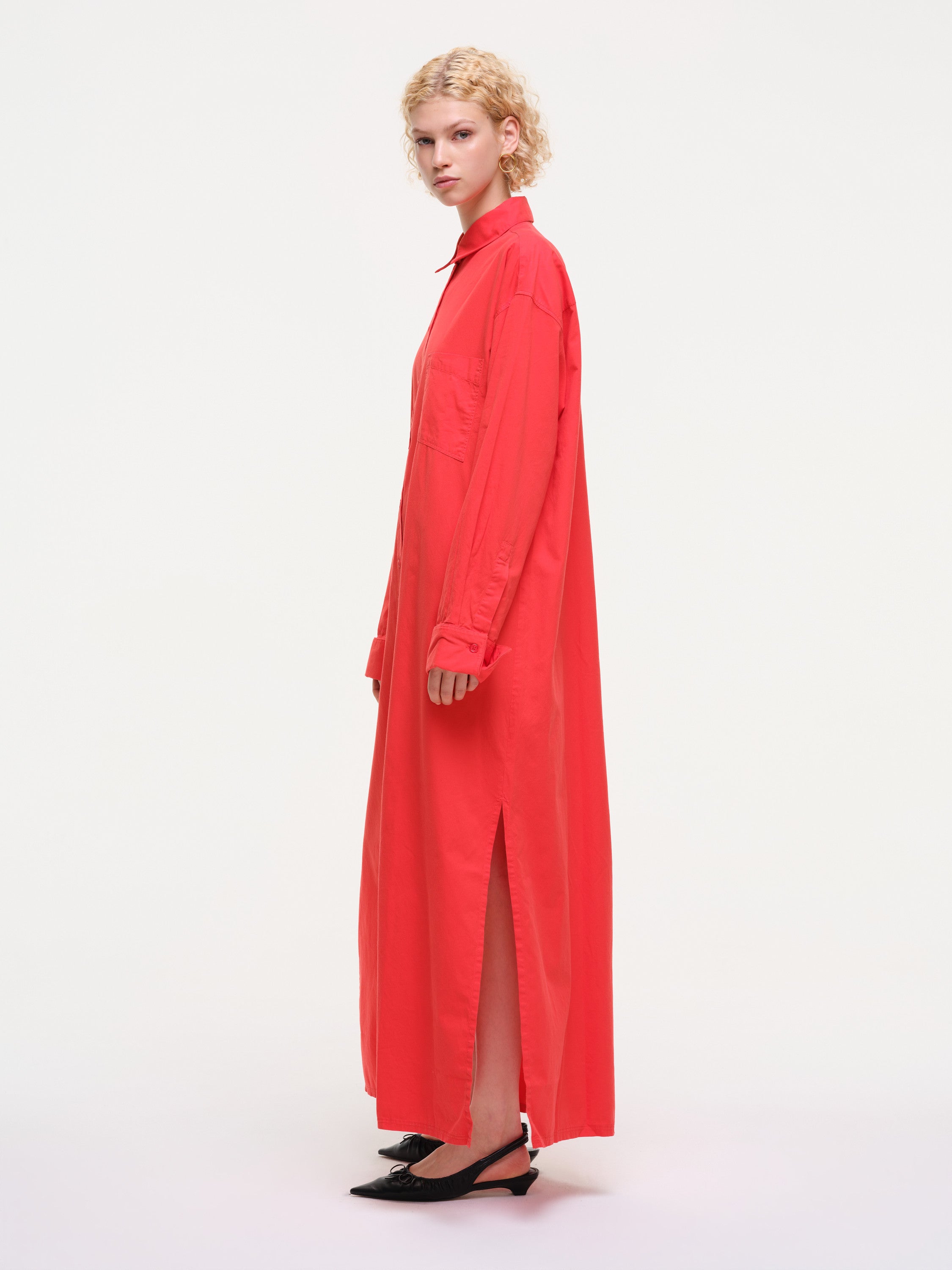 dove  - red