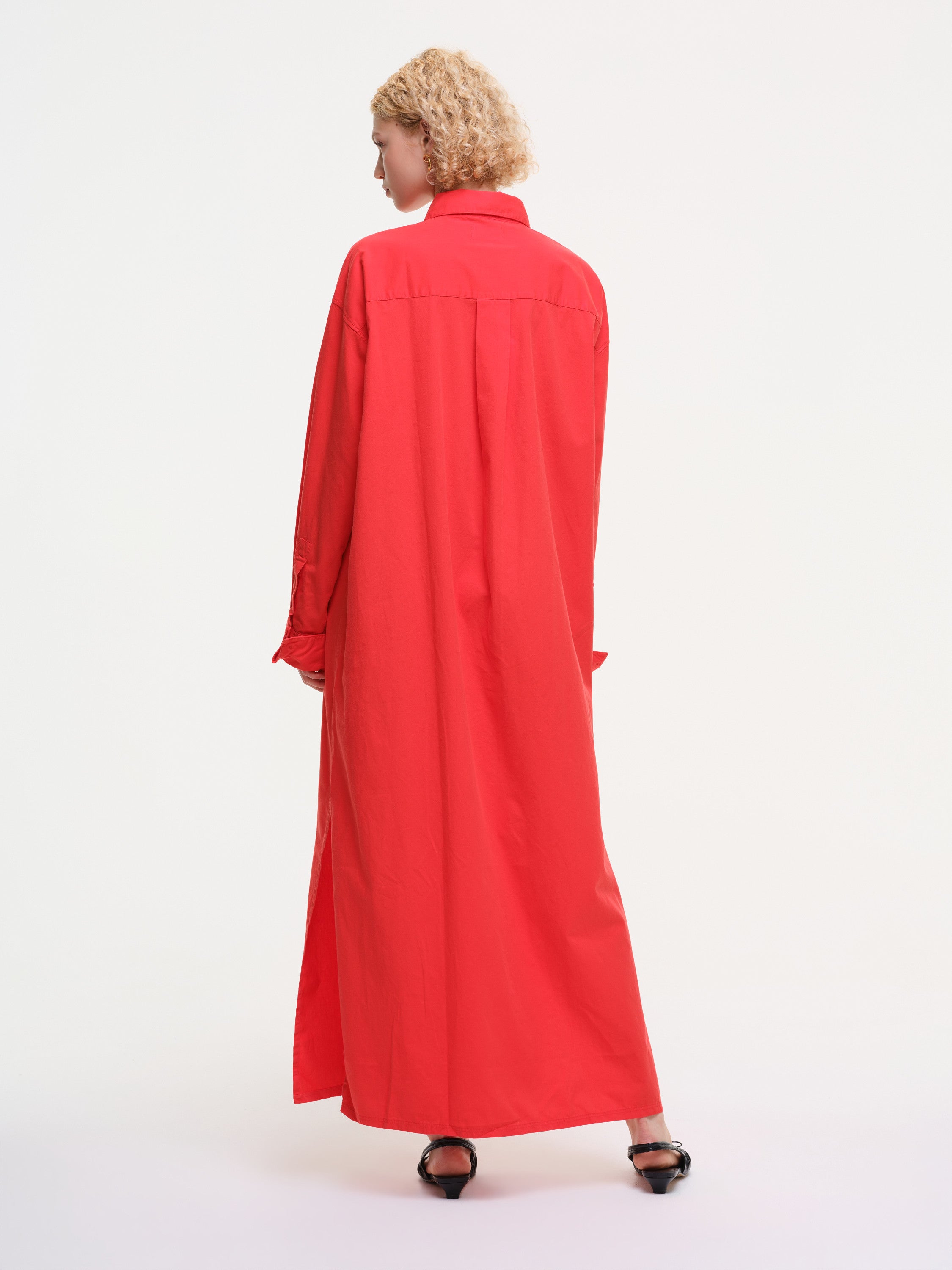 dove  - red