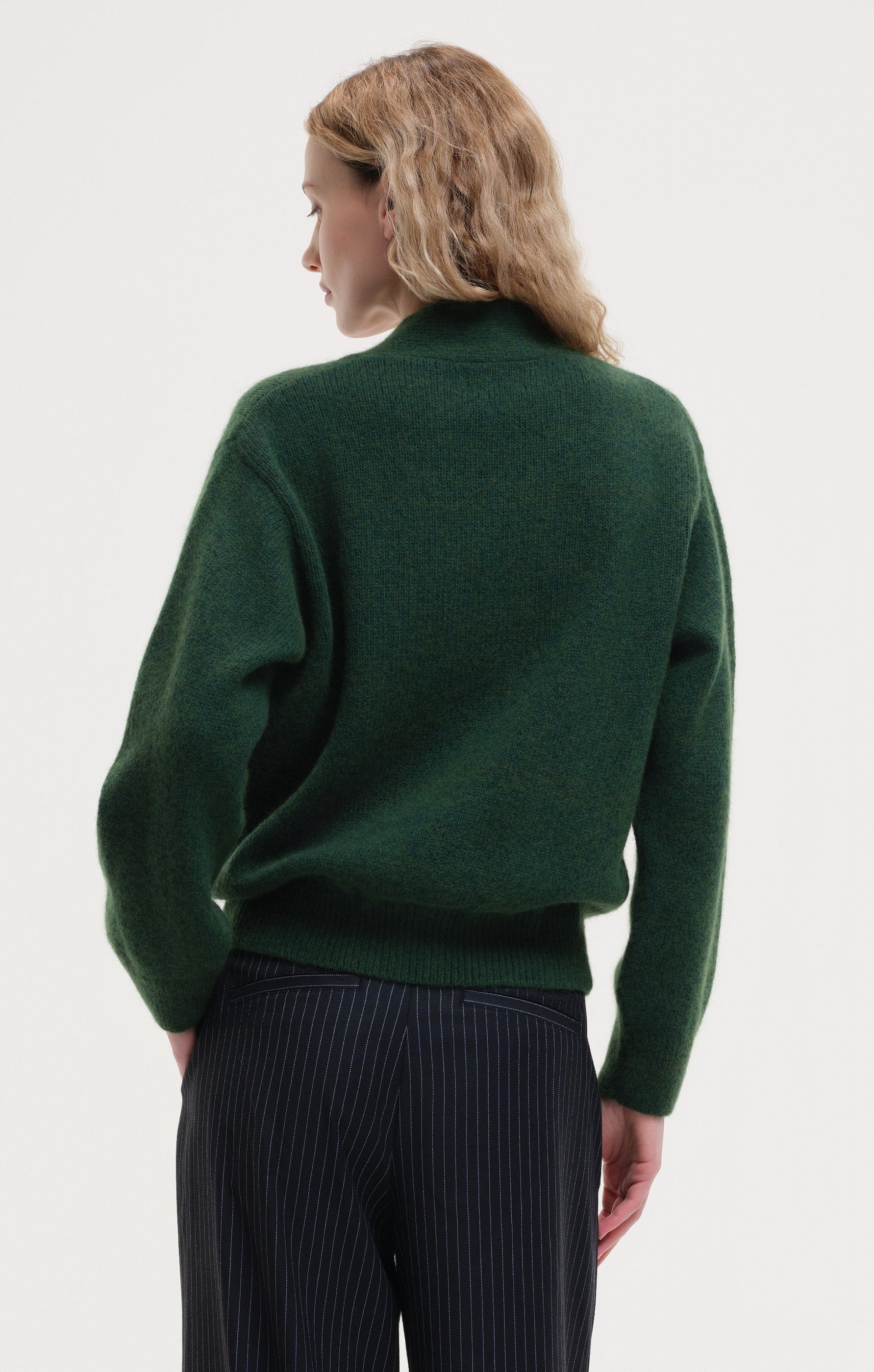 dolphin - green