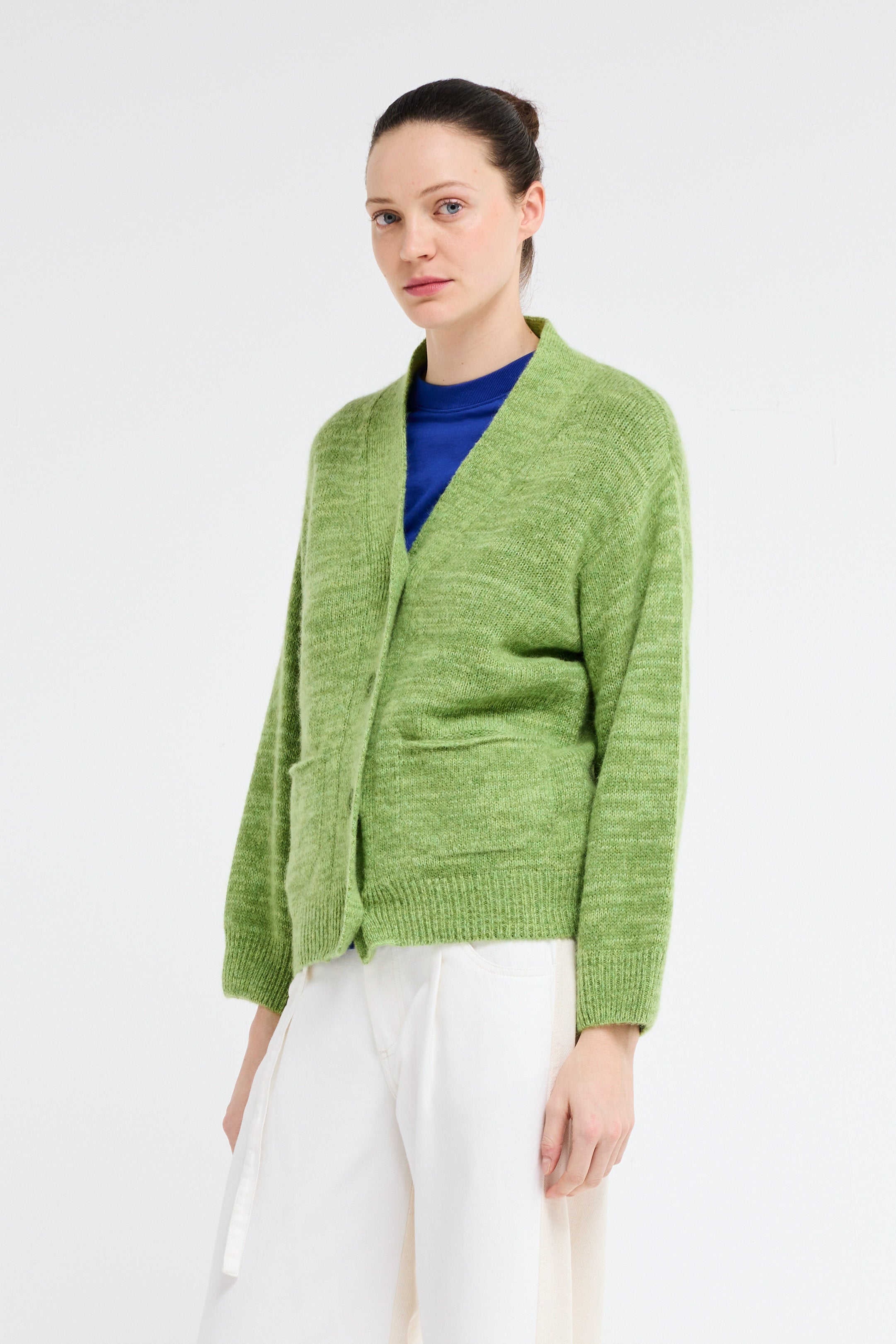 dolphin - green