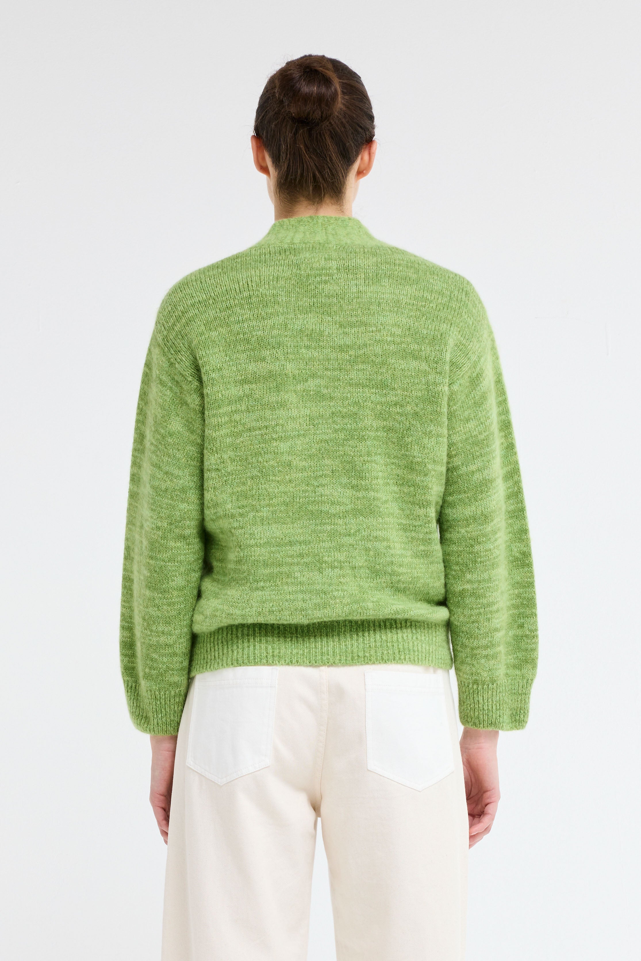 dolphin - green