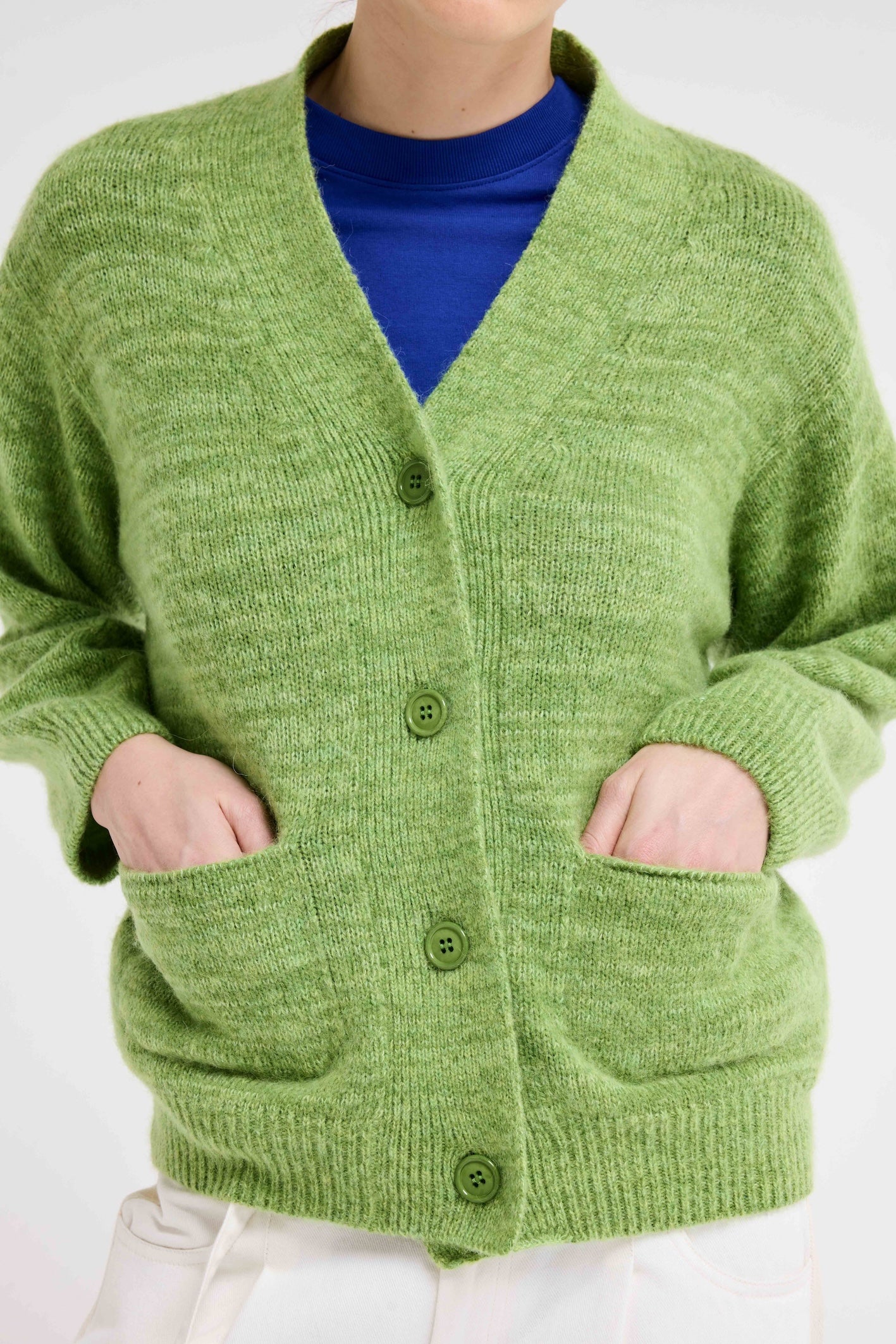 dolphin - green